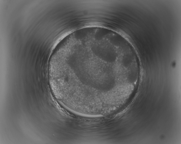 X0000114621145200912010955