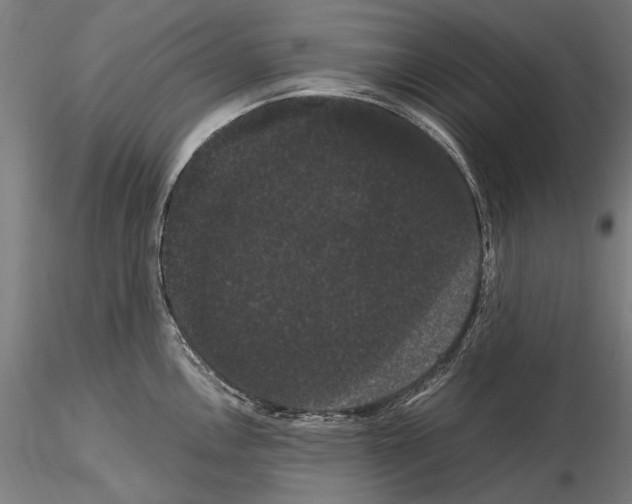 X0000114621146200912010955