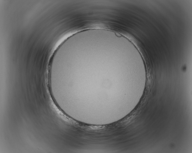 X0000114621147200912010955