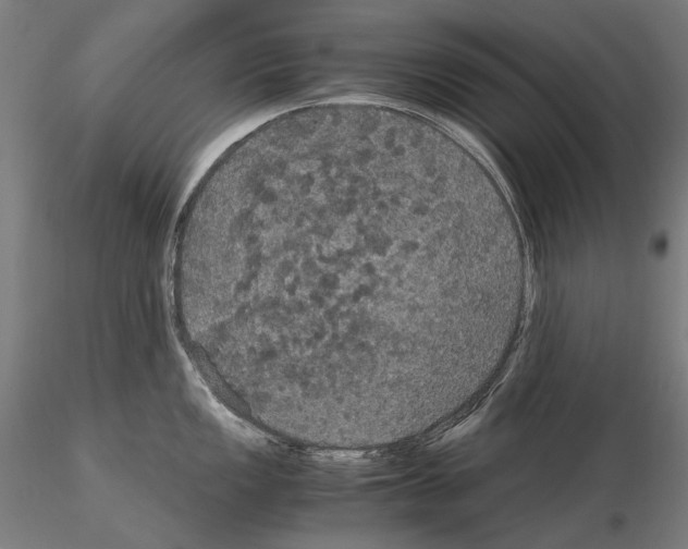 X0000114621149200912010955