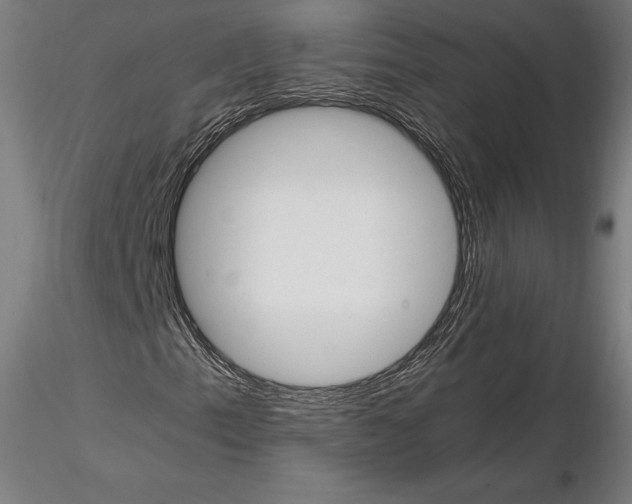 X0000114621153200912010954