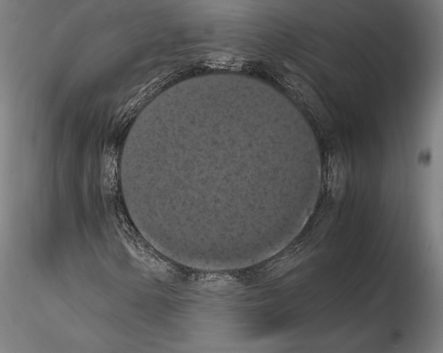 X0000114621154200912010954