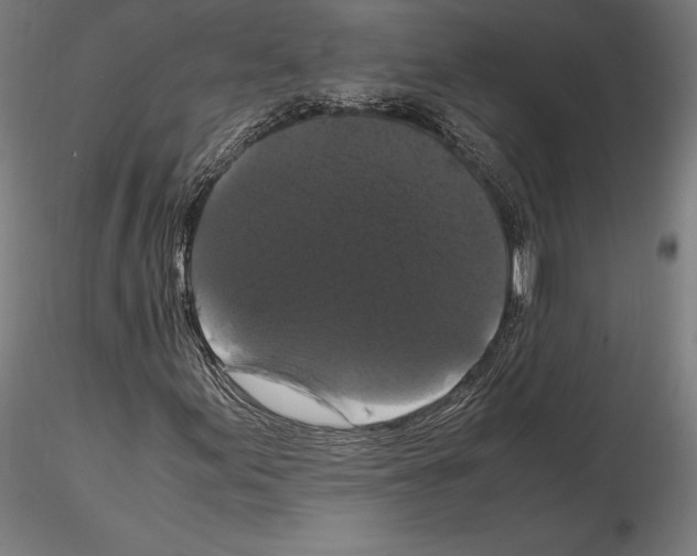 X0000114621155200912010954