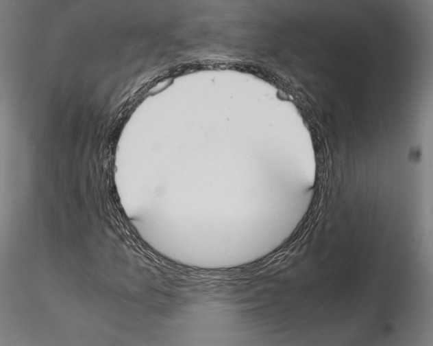 X0000114621157200912010954