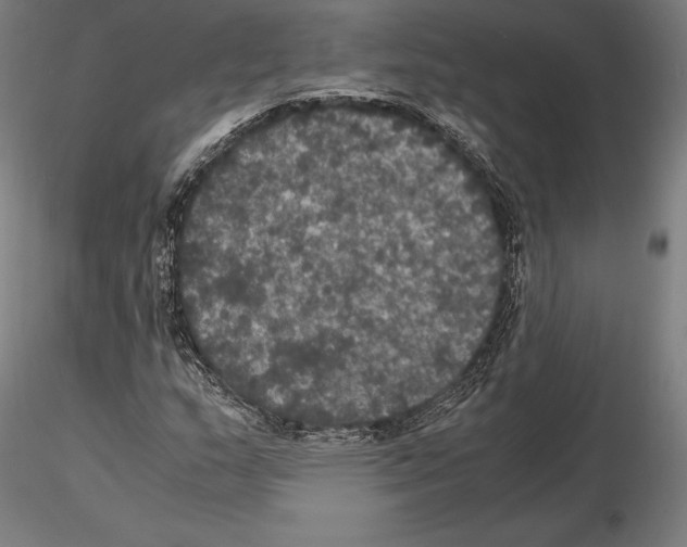 X0000114621159200912010954