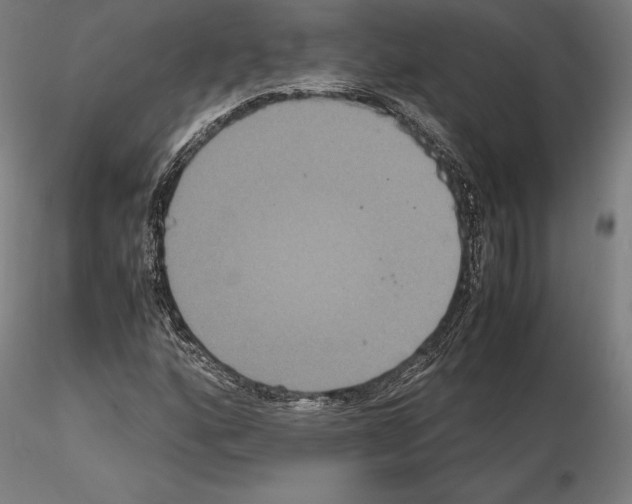 X0000114621160200912010954