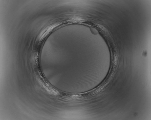 X0000114621161200912010954