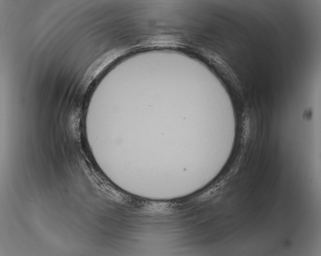 X0000114621162200912010954