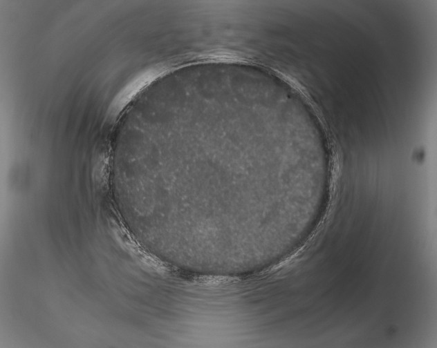 X0000114621163200912010954