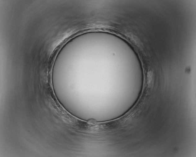 X0000114621165200912010954