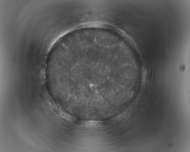 X0000114621166200912010954