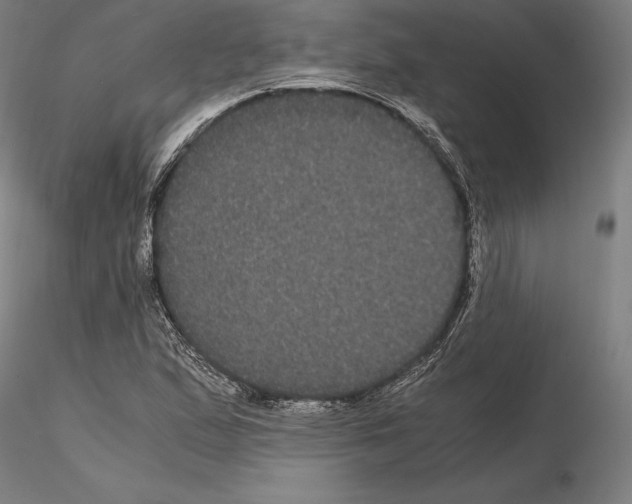 X0000114621167200912010954