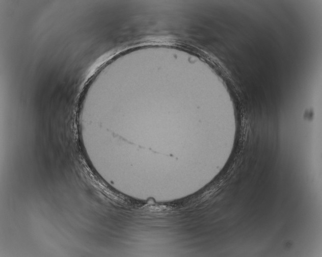 X0000114621168200912010954