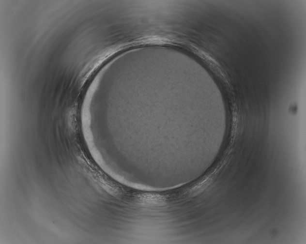 X0000114621170200912010954