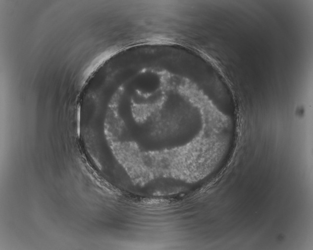 X0000114621171200912010954