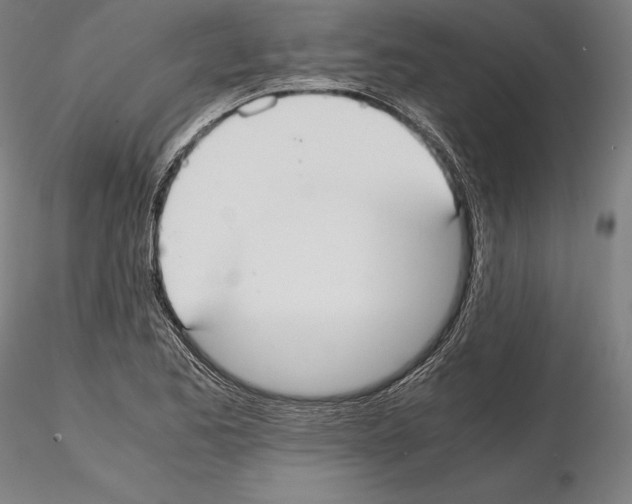 X0000114621173200912010954