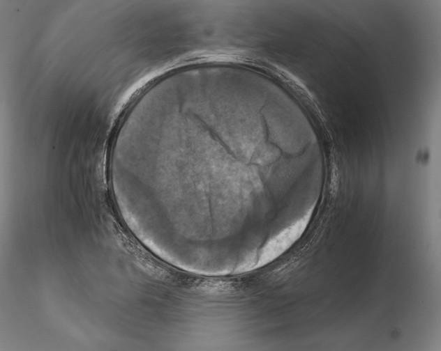 X0000114621174200912010954