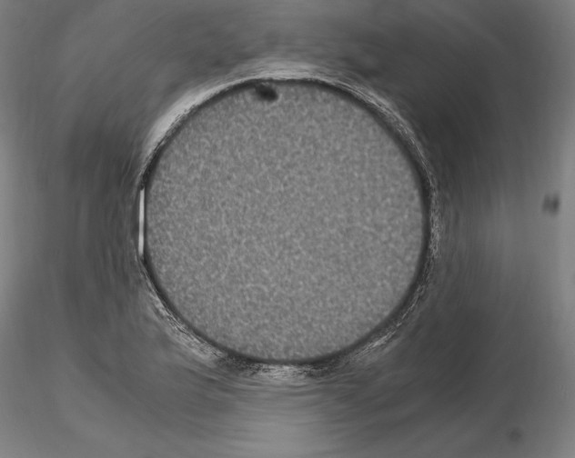 X0000114621175200912010954