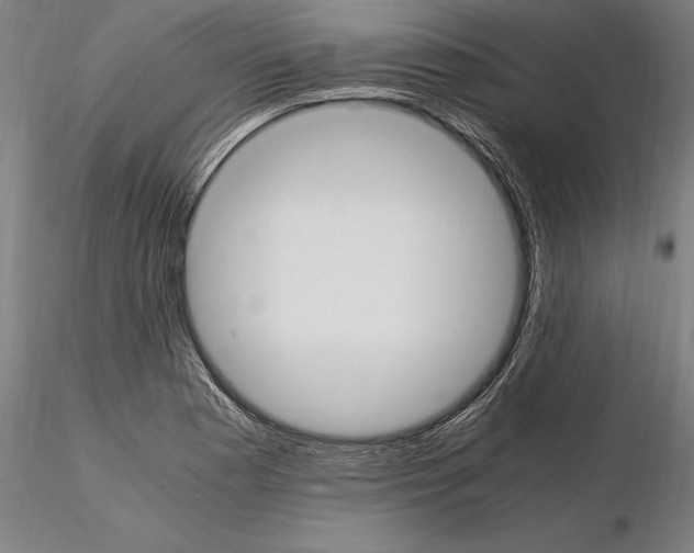 X0000114621177200912010954