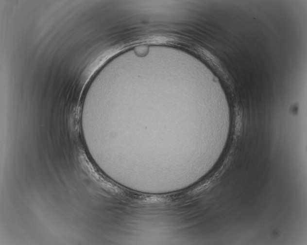 X0000114621178200912010954