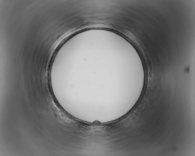 X0000114621181200912010954