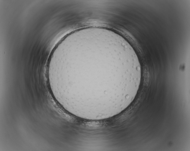 X0000114621182200912010954