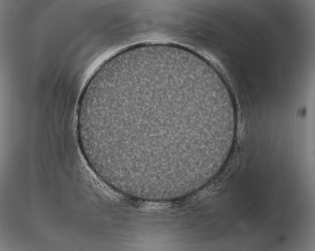 X0000114621183200912010954