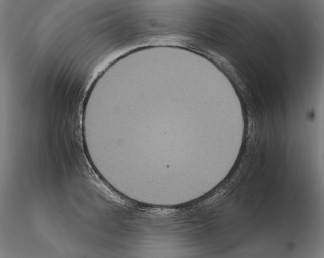 X0000114621184200912010954