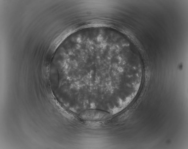 X0000114621185200912010954