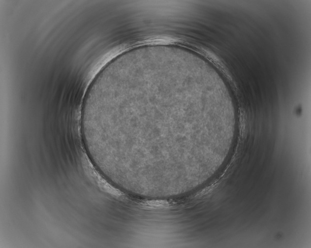 X0000114621186200912010954