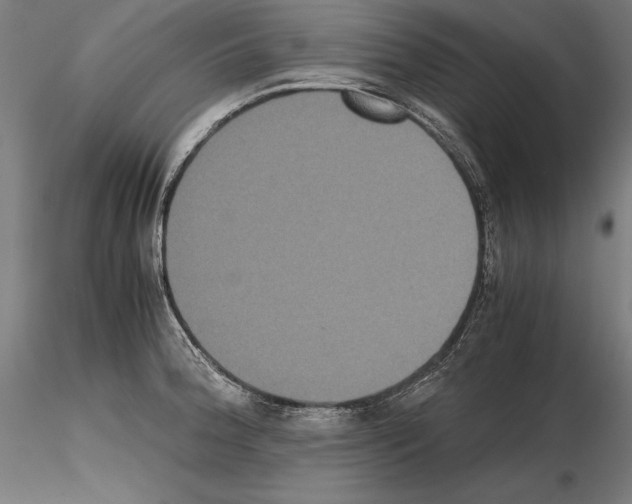 X0000114621188200912010954