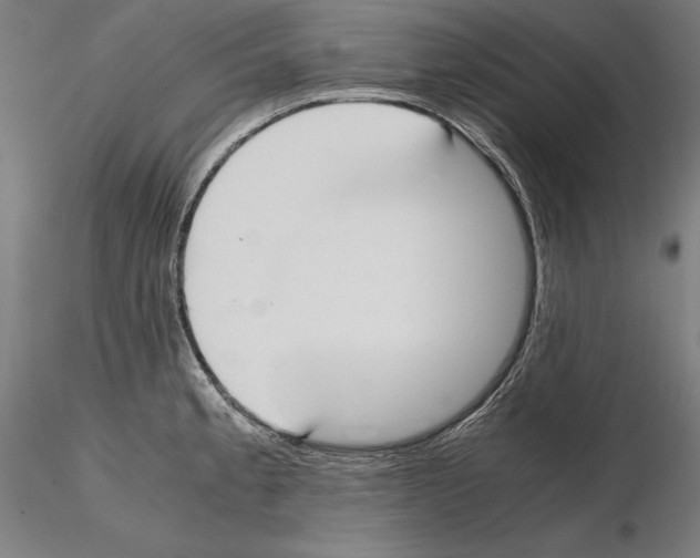 X0000114621189200912010954