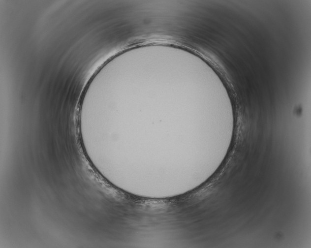 X0000114621190200912010954