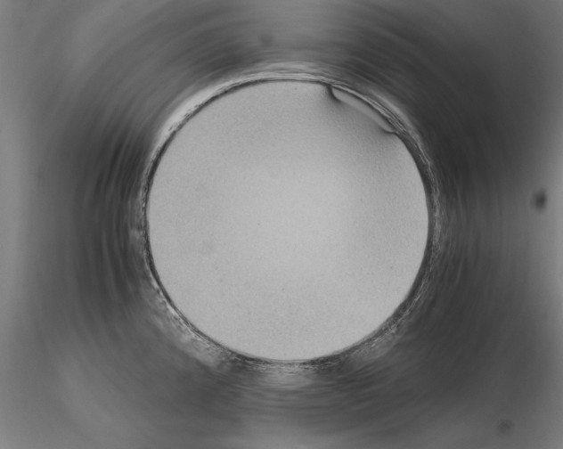 X0000114621192200912010954