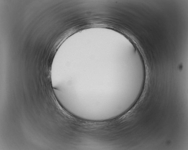 X0000114621193200912010954