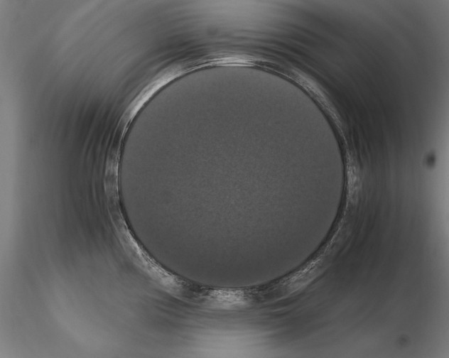 X0000114621194200912010954