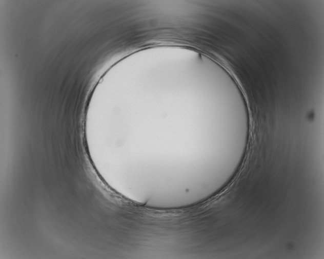 X0000114621195200912010954