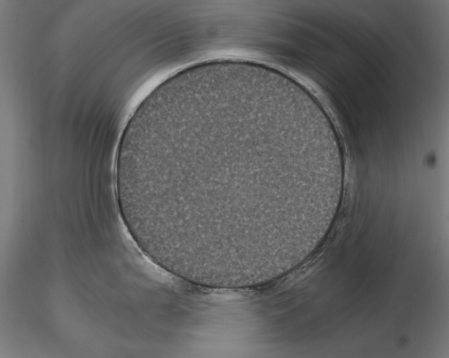 X0000114621199200912010954