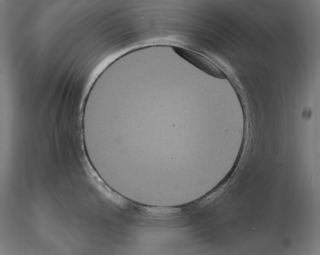 X0000114621200200912010954