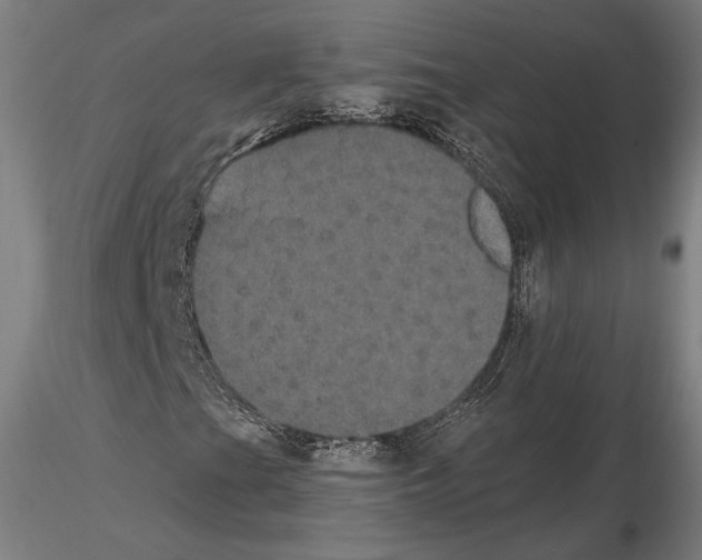 X0000114621201200912010953