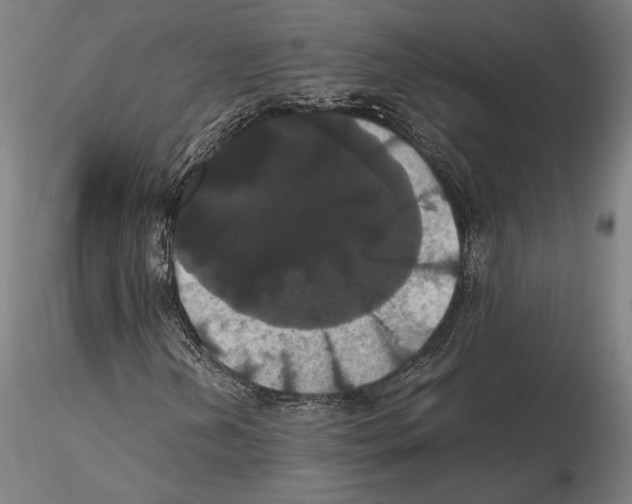 X0000114621202200912010953