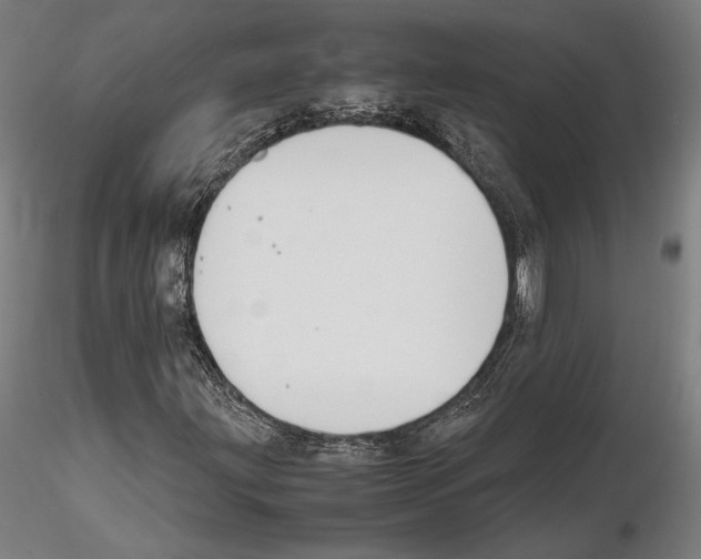 X0000114621203200912010953