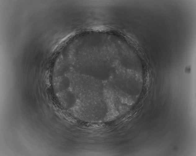 X0000114621205200912010953