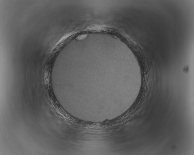 X0000114621206200912010953