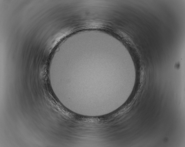 X0000114621210200912010953