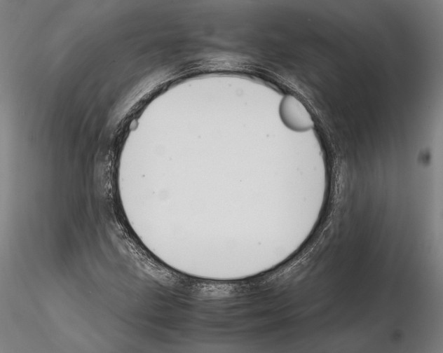 X0000114621211200912010953