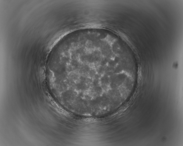 X0000114621212200912010953