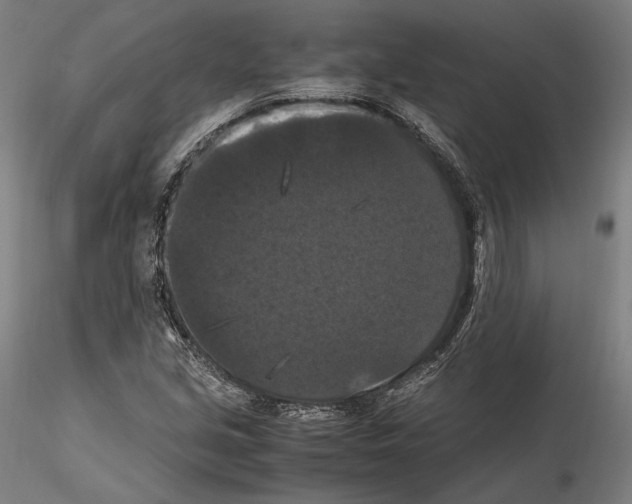 X0000114621213200912010953