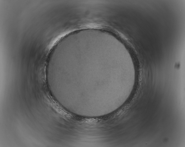 X0000114621214200912010953