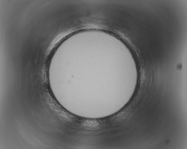 X0000114621215200912010953